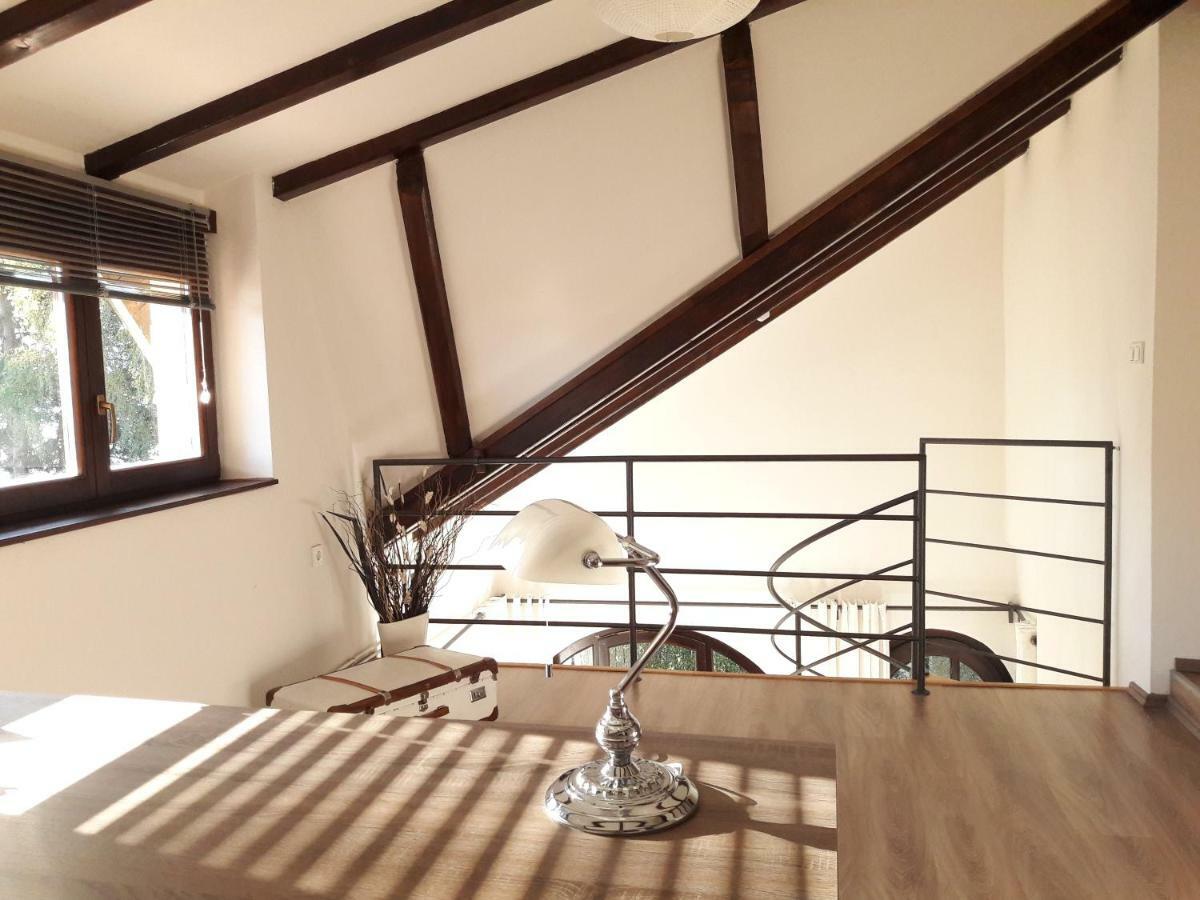 Spacious Apartment "Ana" On Lake Sabljaci Ogulin Eksteriør bilde