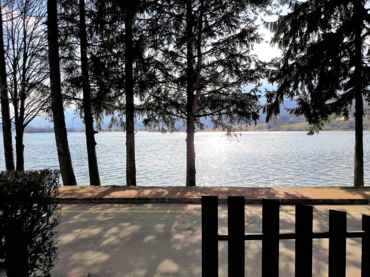 Spacious Apartment "Ana" On Lake Sabljaci Ogulin Eksteriør bilde