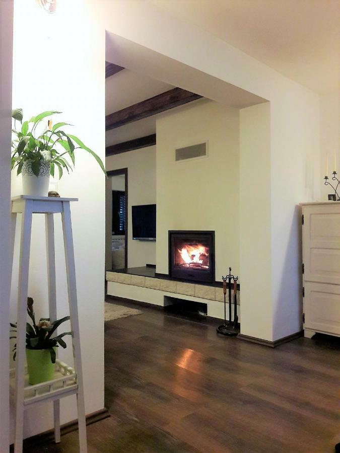 Spacious Apartment "Ana" On Lake Sabljaci Ogulin Eksteriør bilde